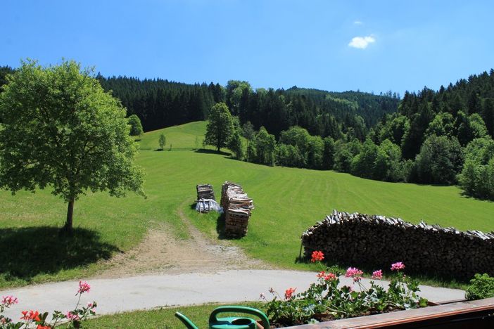 Ausblick aus dem Doppelzimmer