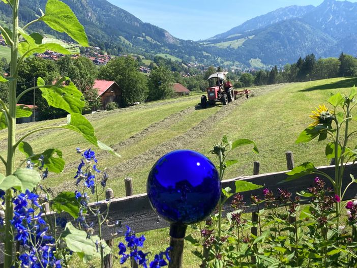 Heuernte vor dem Haus