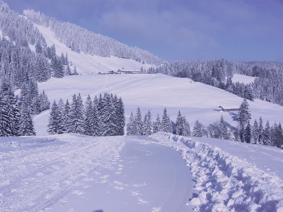 Winterwanderweg auf dem Imberg