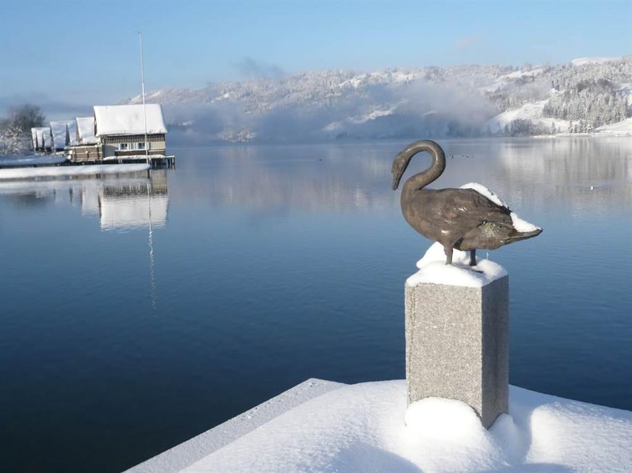 Winter am See