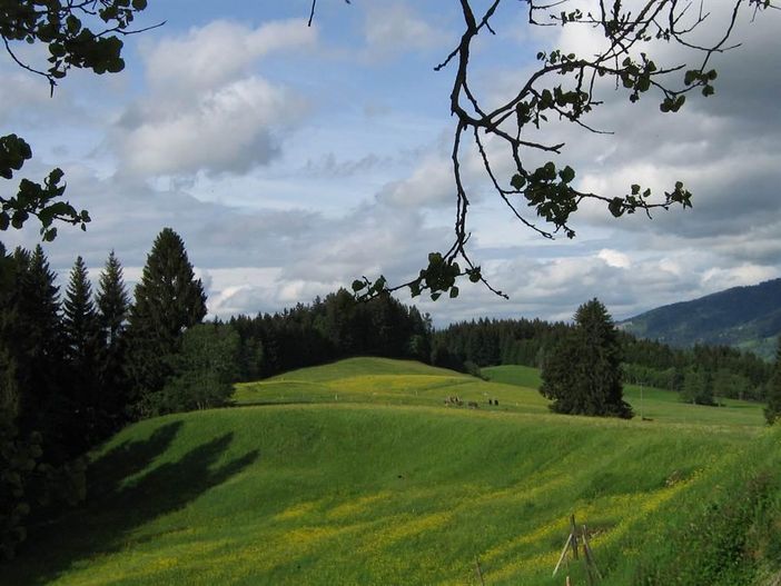 Sommerbild
