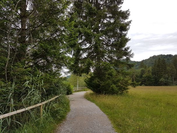 Schwansee-Rundweg