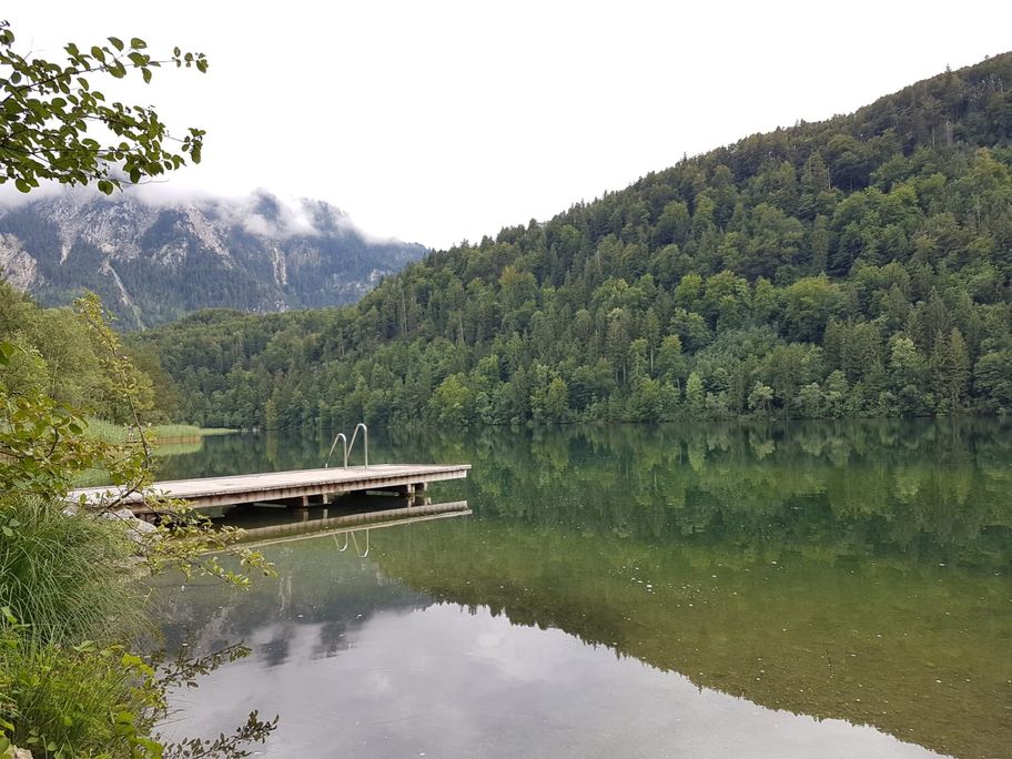 Badesteg im Schwansee