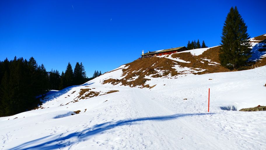 Von Balderschwang zur Oberen Mittelalpe (1.407m)