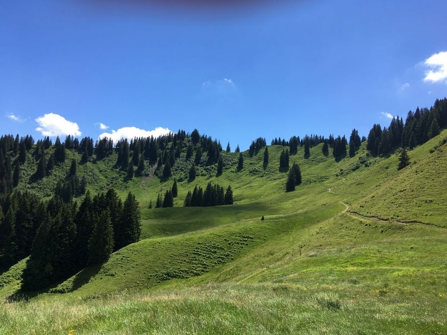 Hörner Panorama Tour - Rundwanderung ab Bolsterlang oder Ofterschwang