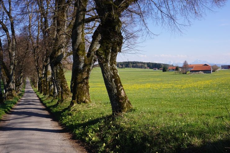 Kurfürstenallee Marktoberdorf