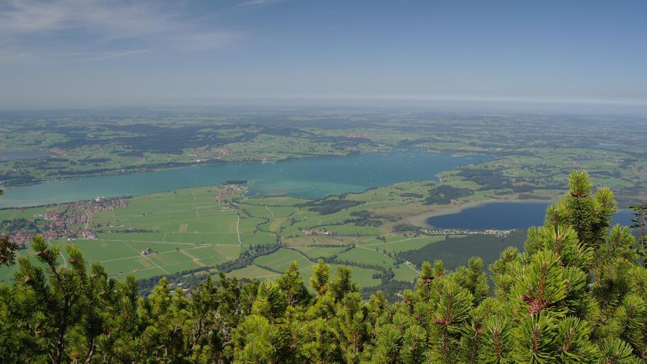 Forgensee