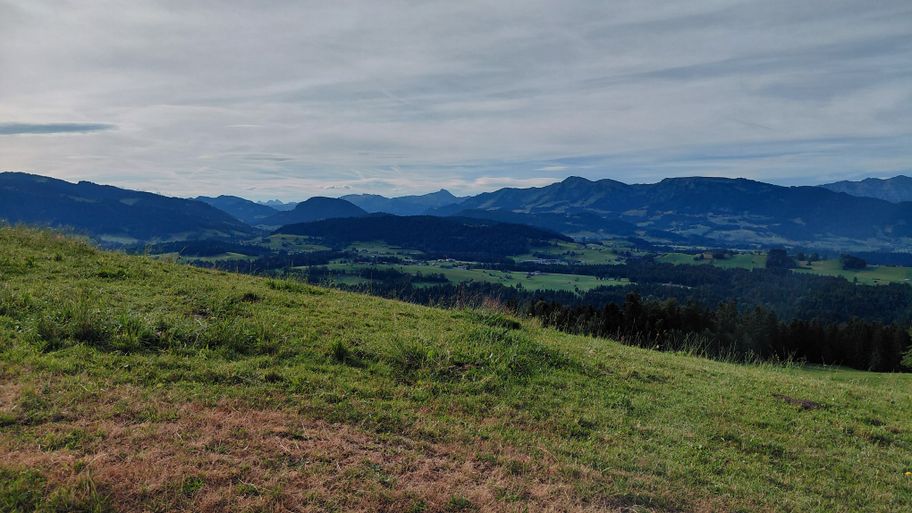 Aussicht vom Hüttersberg mit Hohem Ifen im Hintergrund