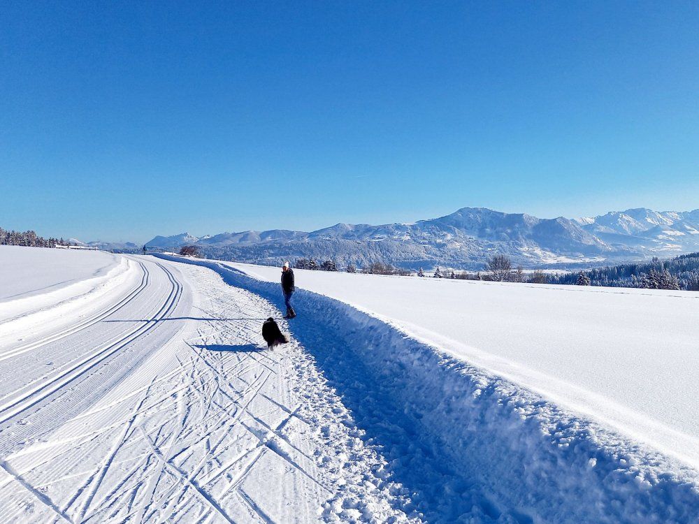 Loipe & Winterwanderweg in Rieggis