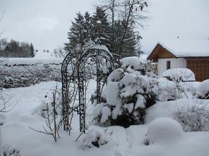 IMG_0072