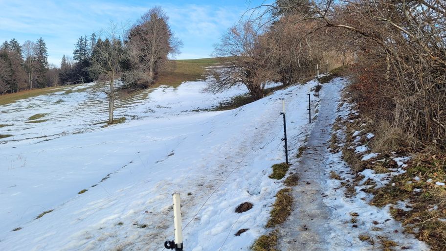 schnee- und eisbedeckter Wegabschnitt im unteren Teil des Römerweges