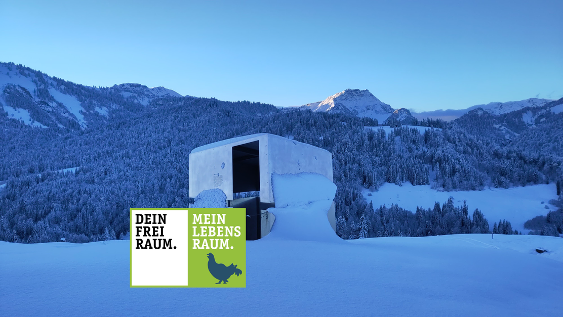 Georunde Rindberg Sibratsgfäll mit Schneeschuhen