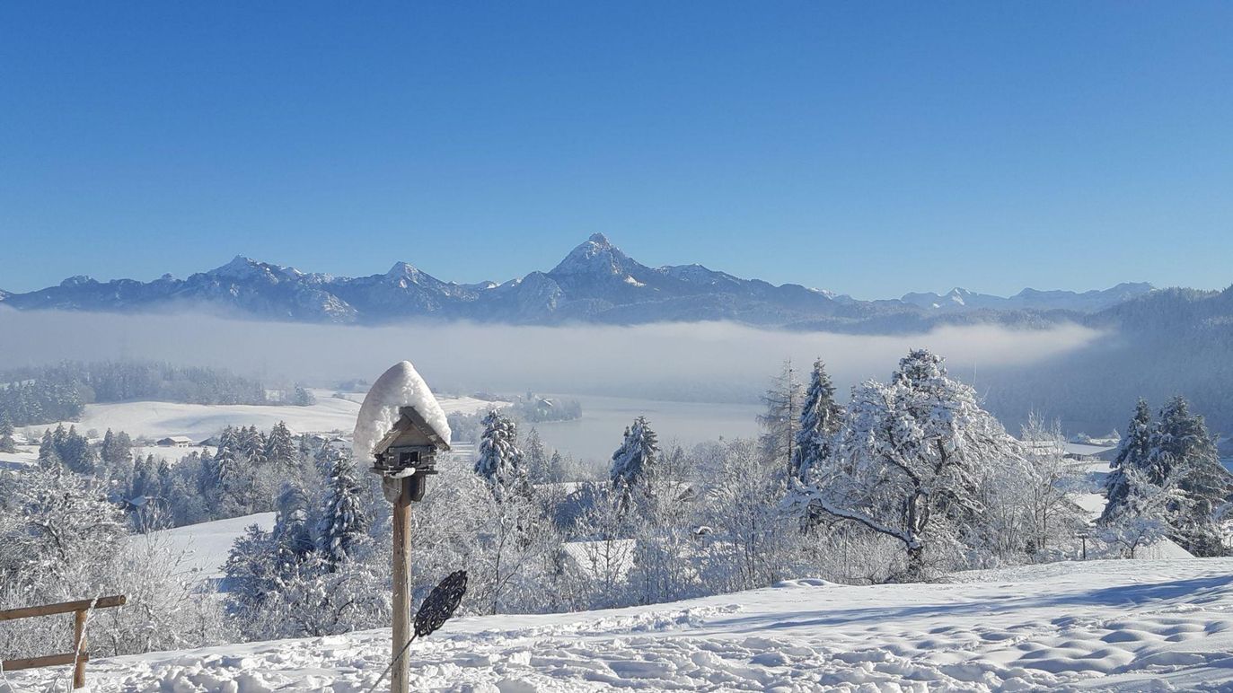 ein traumhafter Wintertag