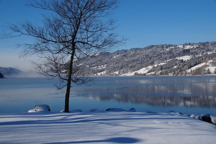 Winteridylle