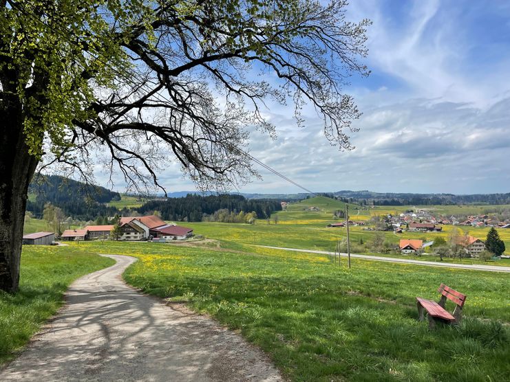 Auf der Fahrt vom Laubenberg