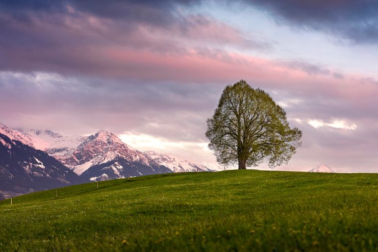 Wittelsbacher Höhe im Abendlicht