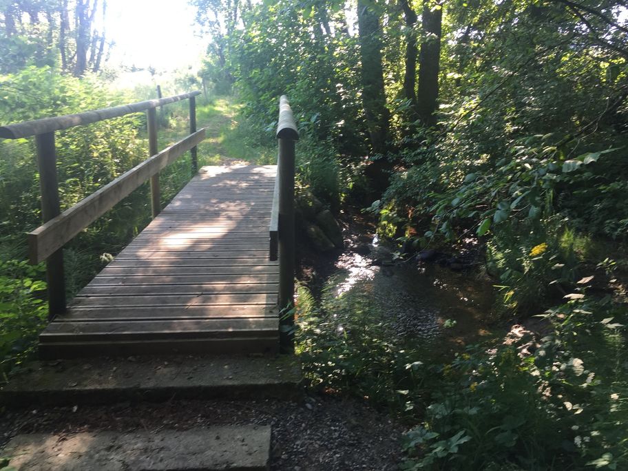 Der Weg führt über eine kleine Holzbrücke