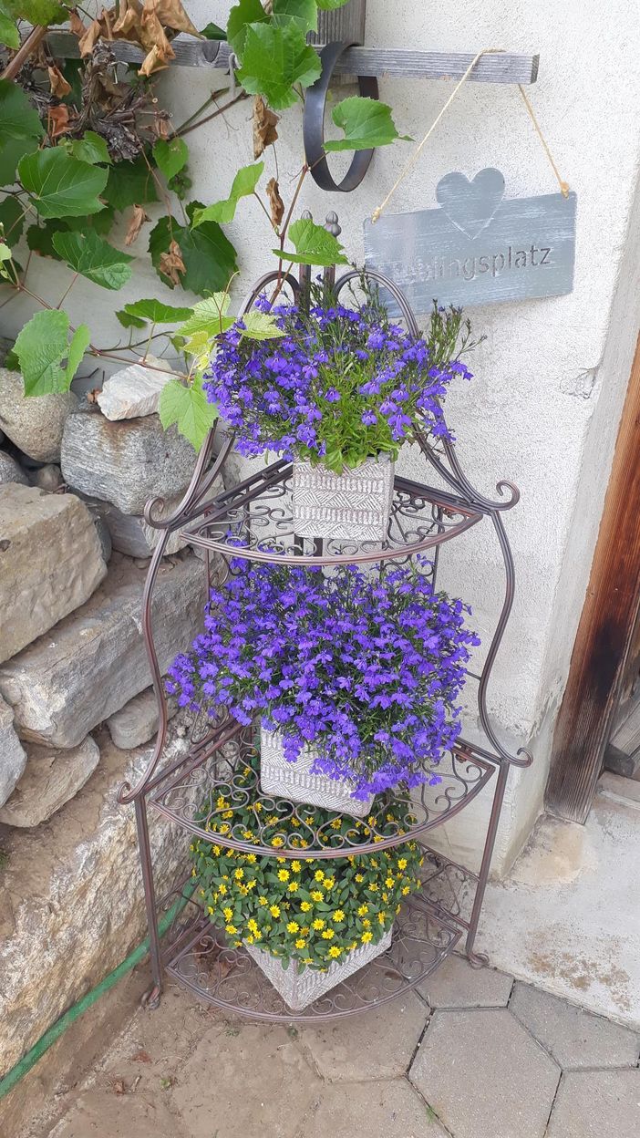Gartenimpression