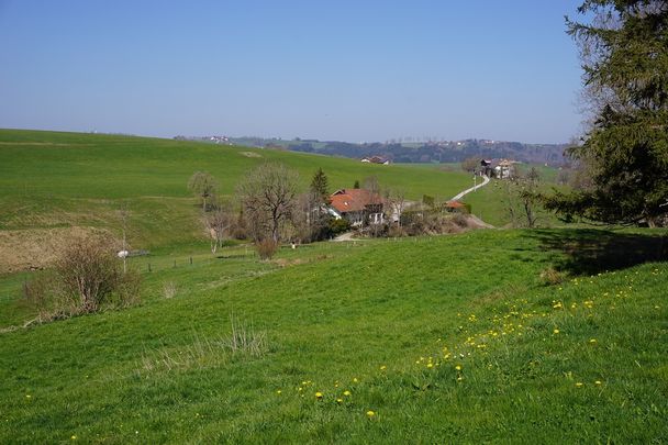 Unterwegs im nördlichen Schlosspark