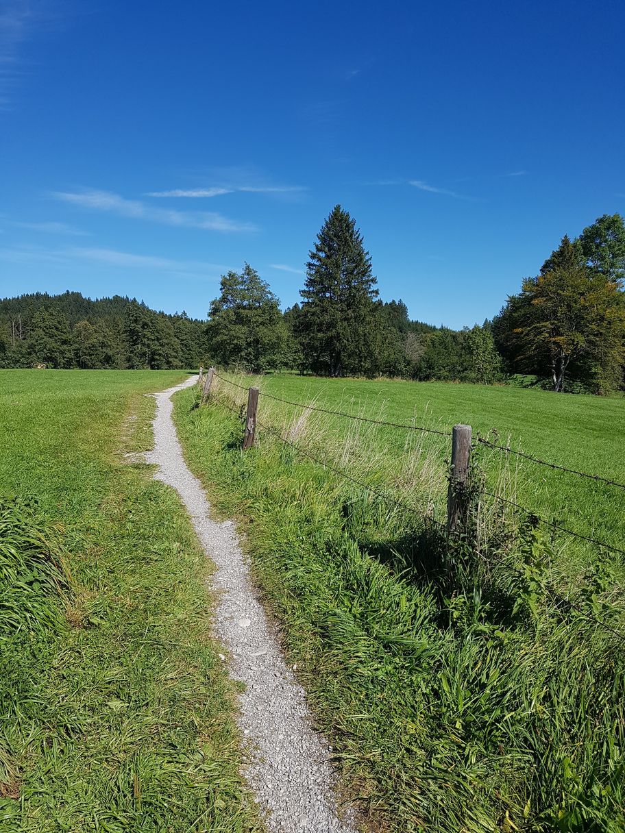 Wiesenpfad von Hopfen Richtung Faulensee
