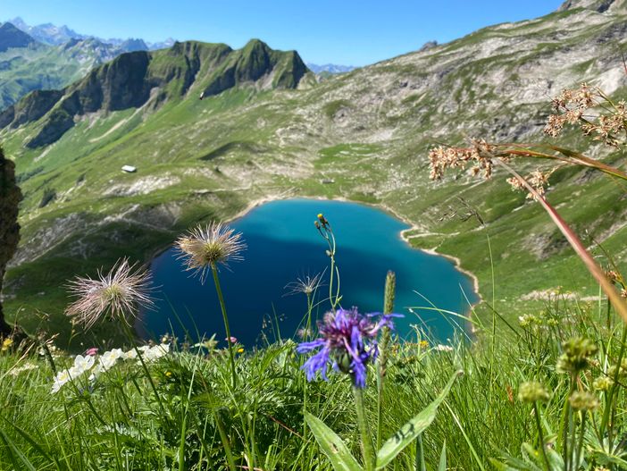Sommer 2025 im Oberallgäu
