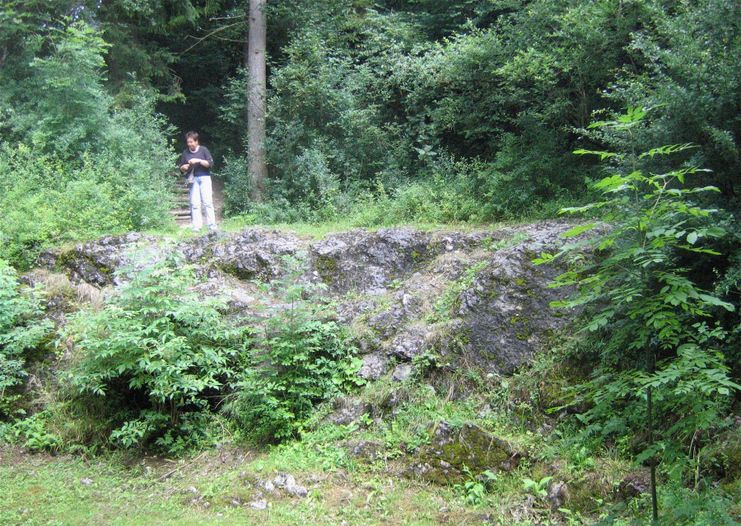 Erratischer Block