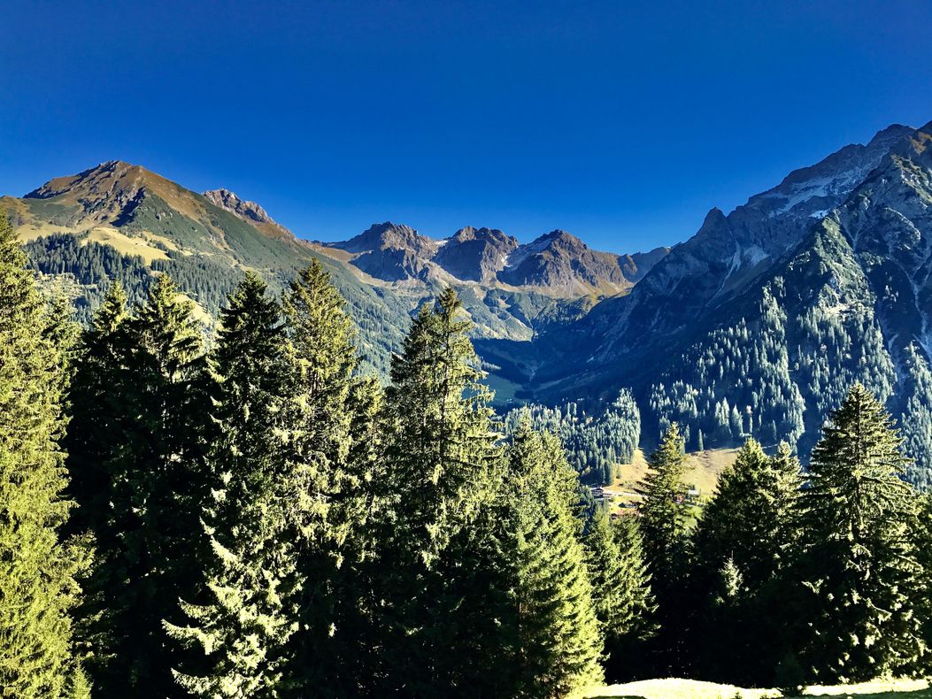 Die Schafalpenköpfe im Kleinwalsertal