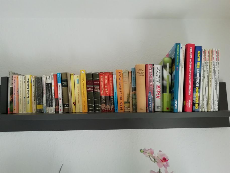 Bücherregal