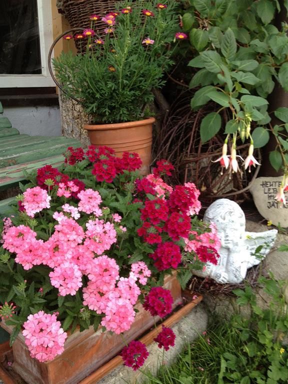 im Garten