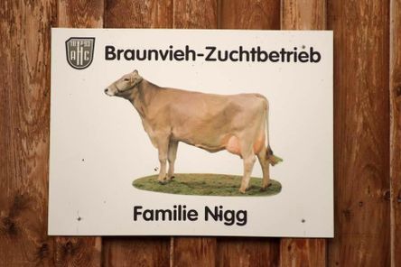 Braunviehbetrieb