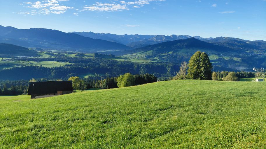 Blick zur Damülser Mittagsspitze