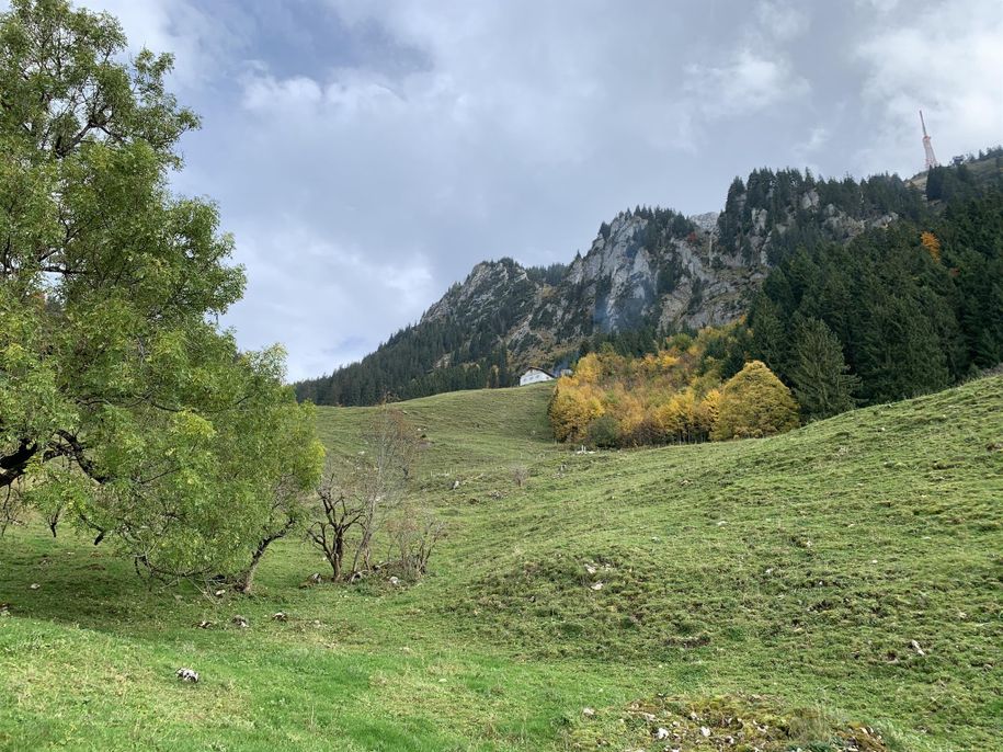 Grünten