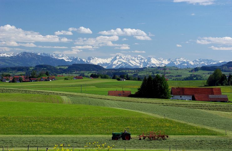 Bergblick bei Reicholzried