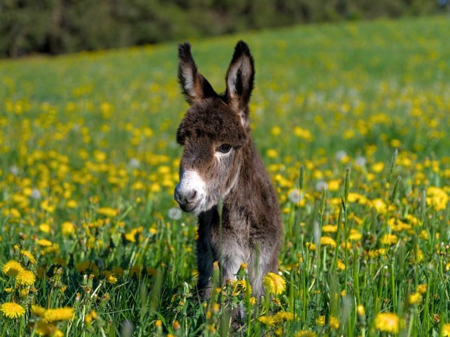 WhatsApp Bild 2025-12-04 um 11-32-41_31410cfd