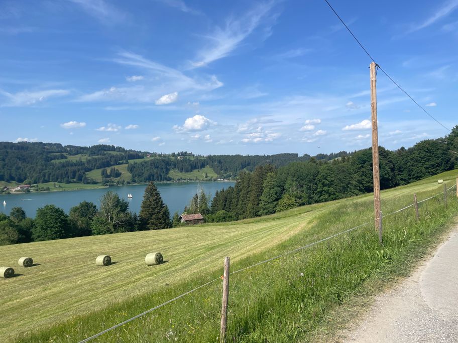 Wegeabschnitt