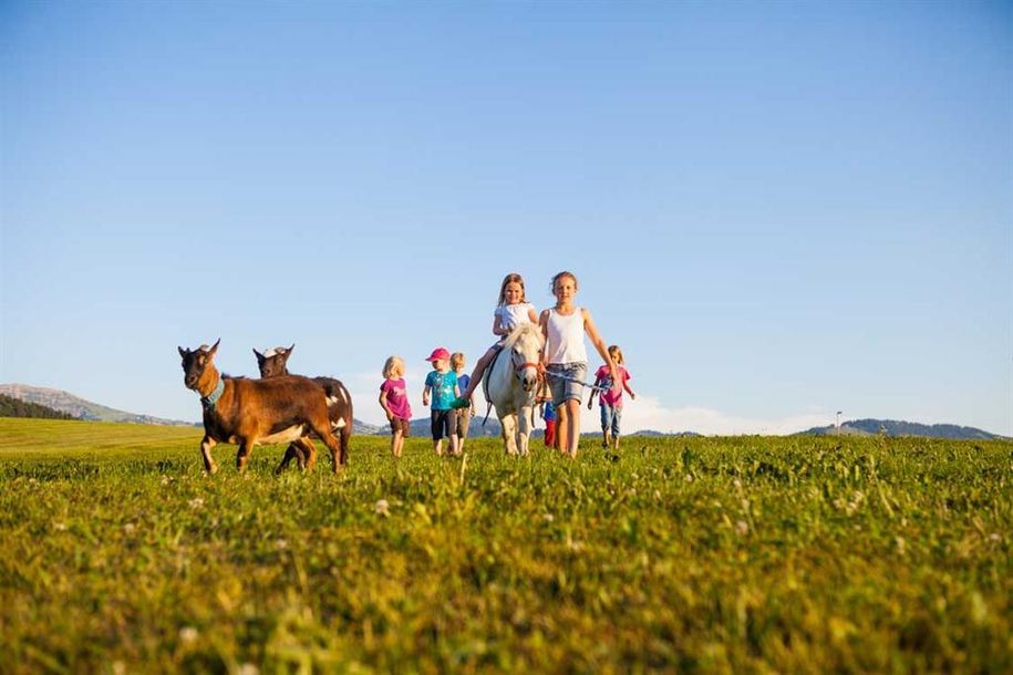 Pony Fatima mit Ziegen Hanni und Nanni