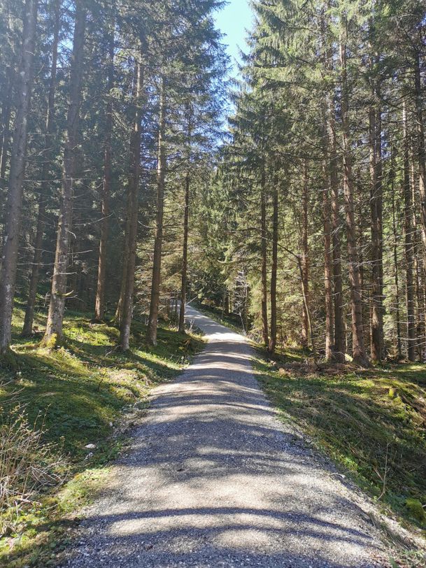 Weg zur Rohrkopfhütte