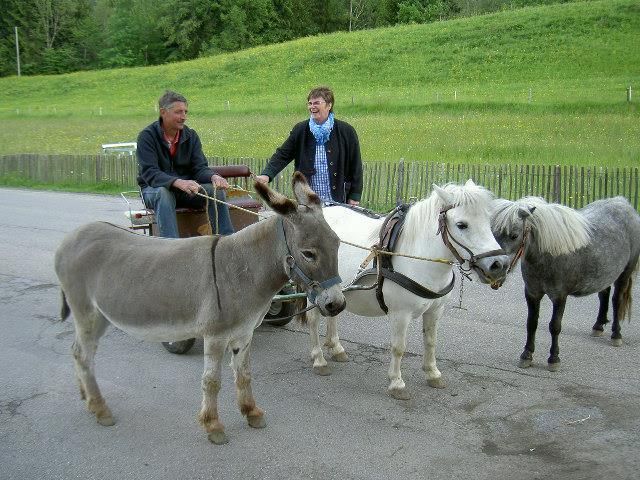 Kutschfahrt