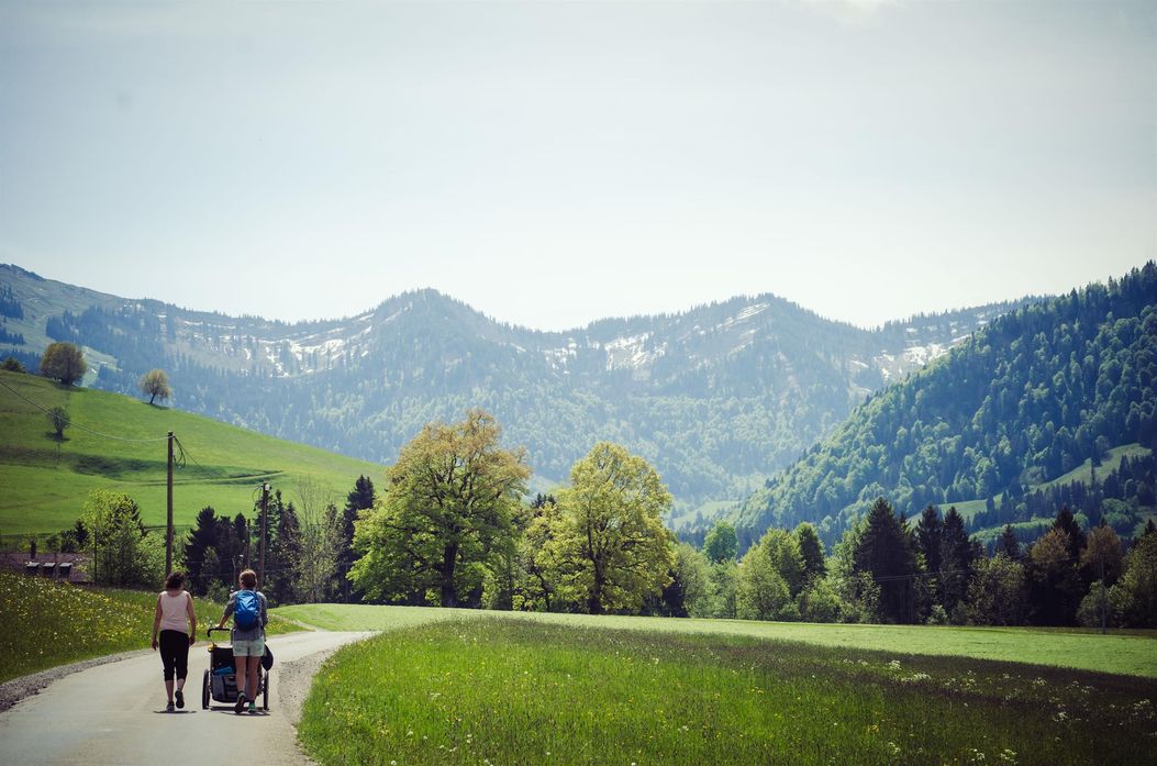 Wanderung zu den Buchenegger Wasserfällen