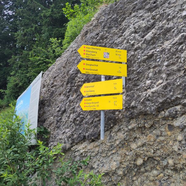 Immenstadt - Alpwirtschaft erleben