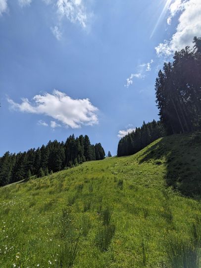 Fire Trail Nesselwang