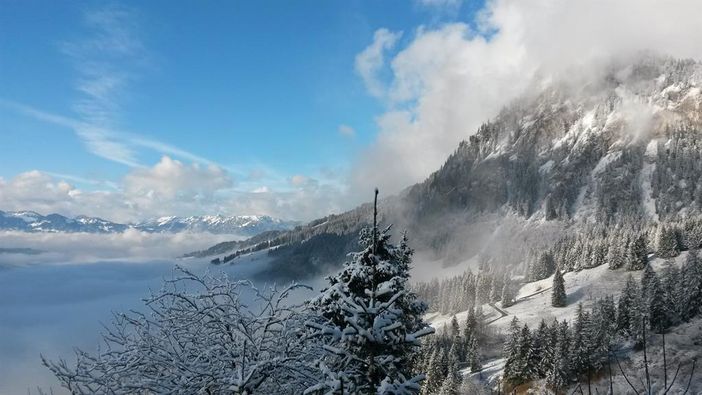 Ausblick Kanzel