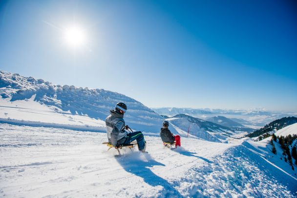 Rodeln am Hochgrat (c) Oberstaufen Tourismus - Moritz Sonntag
