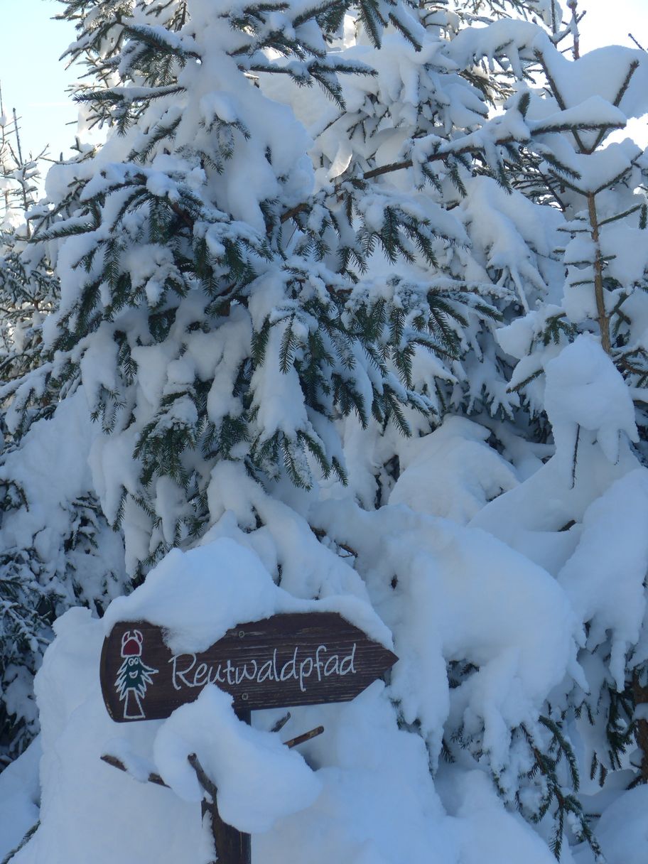 Winter im Reutwaldpfad