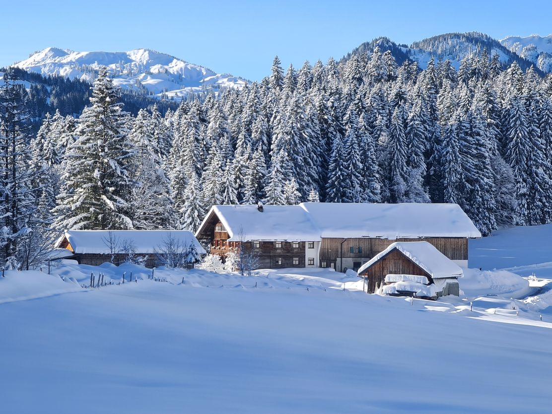 Winkelwies Alpe