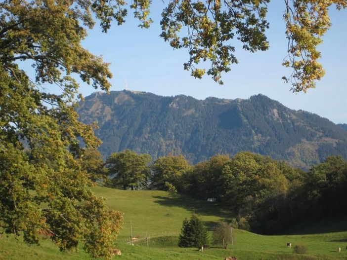 Alm hinterm Haus