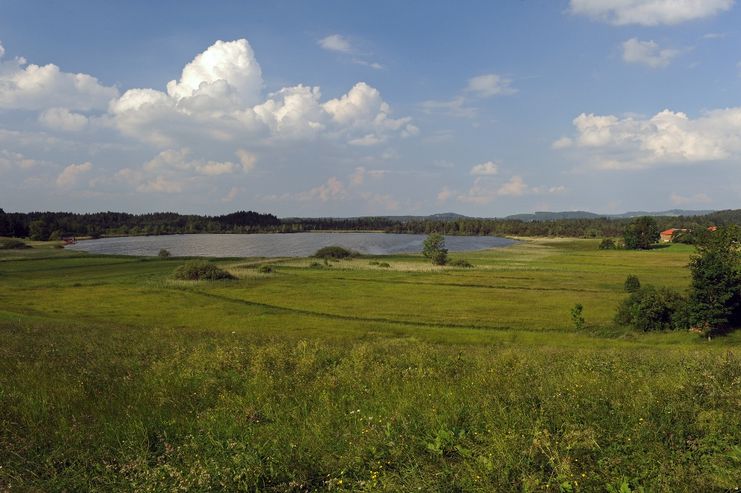 Moorwiese mit Ursee, Taufach-Fetzach-Moos