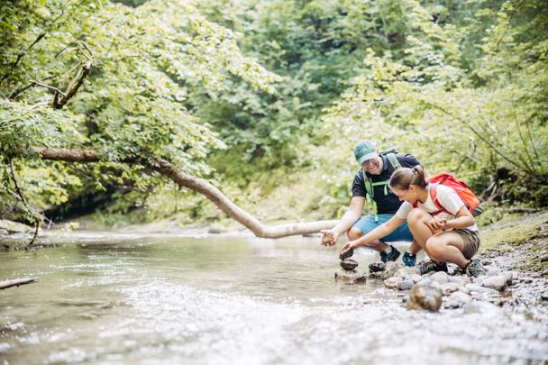 Premiumspazierwanderweg Ellhofer Tobel