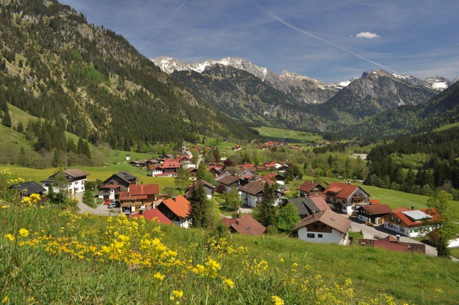 Bergdorf Hinterstein
