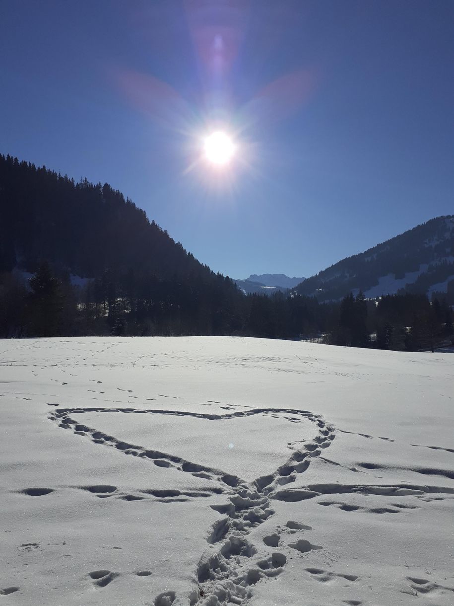 Wintertraum